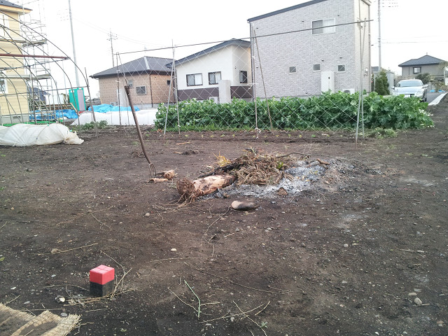image003
