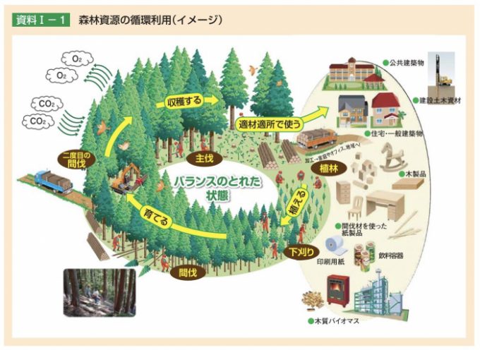 森林サイクルの仕組み