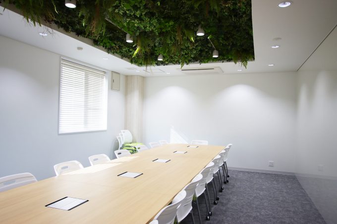 オフィスの天井を緑化した事例