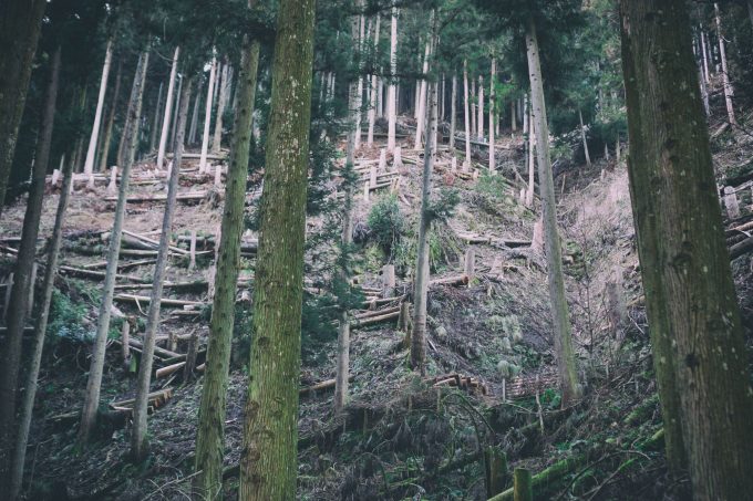 国産材が使われない3つの理由