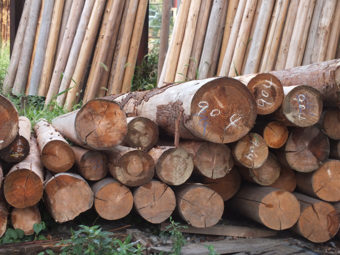 木材利用促進法とは